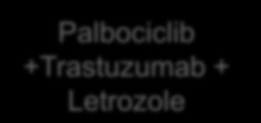 patients 3-4L A Palbociclib +Trastuzumab Palbociclib +Trastuzumab ER+HER2+ MBC patients 3-4L R A M D O M I Z A T I O N 1:1 B1 B2 Safety Run-in phase N r =12 N 1 = 3+12 Palbociclib