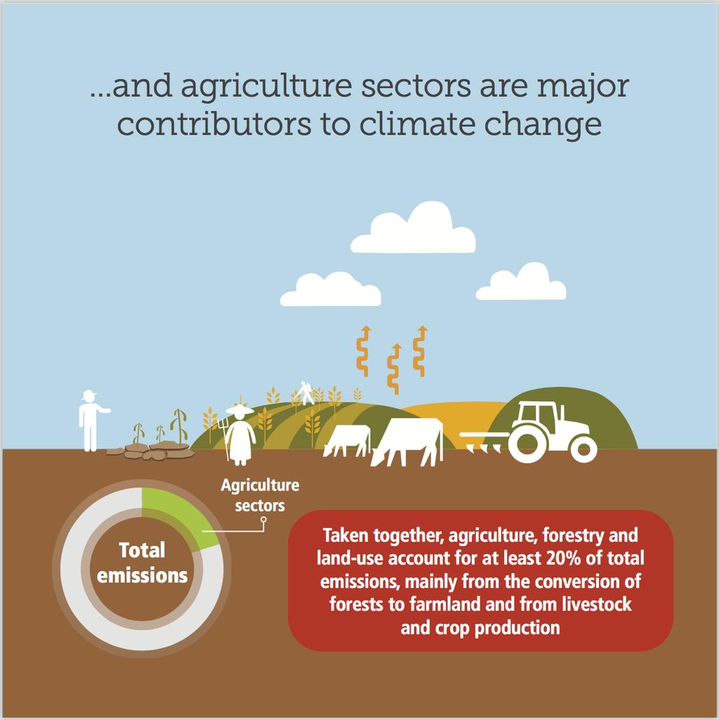 2. La contribución del sector agropecuario al cambio climático La agricultura y los sistemas alimentarios son parcialmente responsables del aumento de la temperatura del planeta a causa del cambio