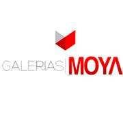 Nom Empresa: GALERIAS MOYA, SL. Nom Participant: Rupert Moya Càrrec: Vendes Correu electrònic: soinco1@hotmail.