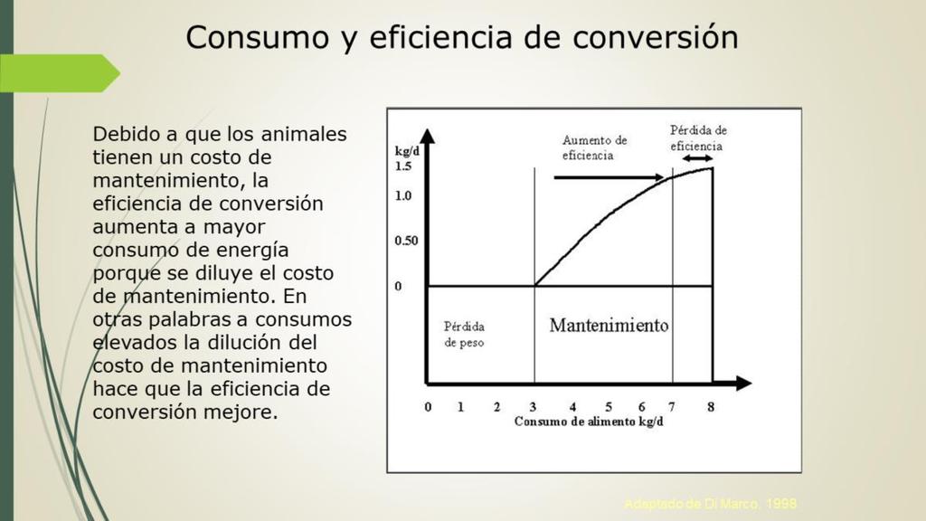 Por ejemplo, si el animal de la Figura 1 consume 3 kg/d, destina toda la energía del alimento para cubrir el costo de mantenimiento. En este punto el animal es 100% ineficiente.