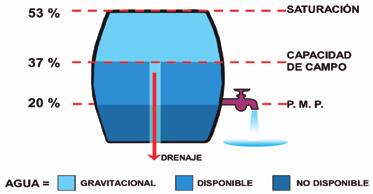 Figura 7. Esquema didáctico de agua disponible total (ADT) en el suelo. Fuente: Ferreyra y Sellés, 2013.