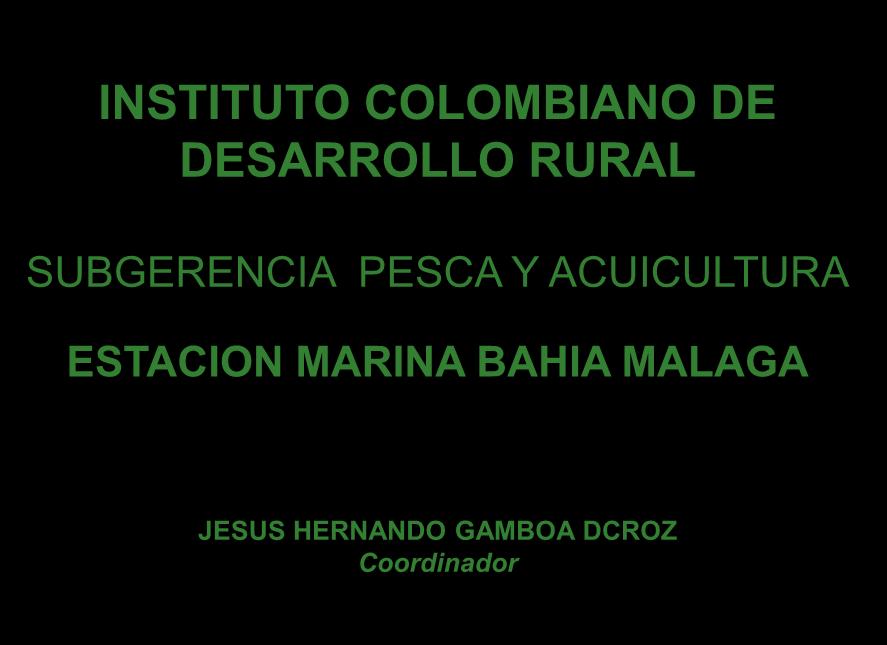 INSTITUTO COLOMBIANO DE DESARROLLO RURAL SUBGERENCIA PESCA Y
