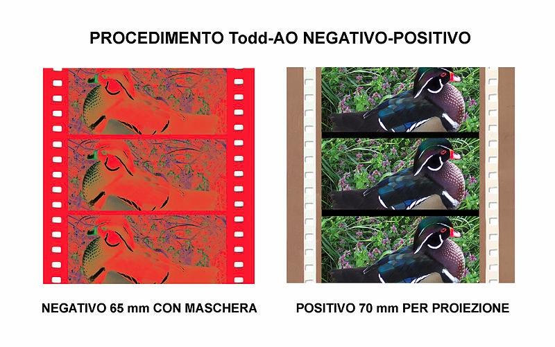 Positivar/ Revelar Tanto en cine como en fotografía analógicas, una vez tomadas las imágenes, es necesario procesar el negativo, a través de un nuevo proceso químico.