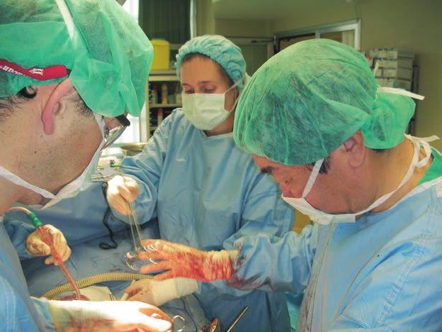 quirúrgicos españoles dedicados al estudio y el tratamiento de la carcinomatosis peritoneal y los tumores peritoneales primarios, y al Grupo Español de Electroquimioterapia.