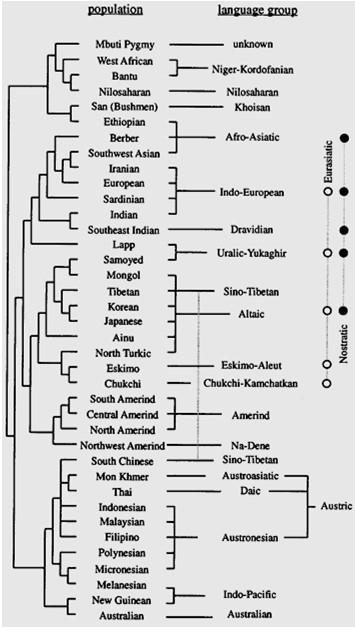Cavalli-Sforza correspondencia general entre árboles lingüísticos y árboles genéticos pero los dos árboles tienen problemas ( incluyendo la idea misma de aplicabilidad del ordenamiento estrictamente