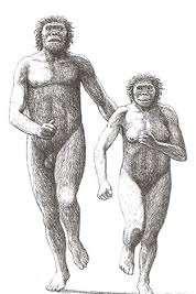 Australopithecus africanus El niño de Taung
