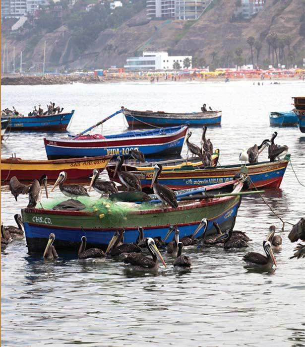 nivel nacional y 16,045 embarcaciones La Costa es la región con mayor