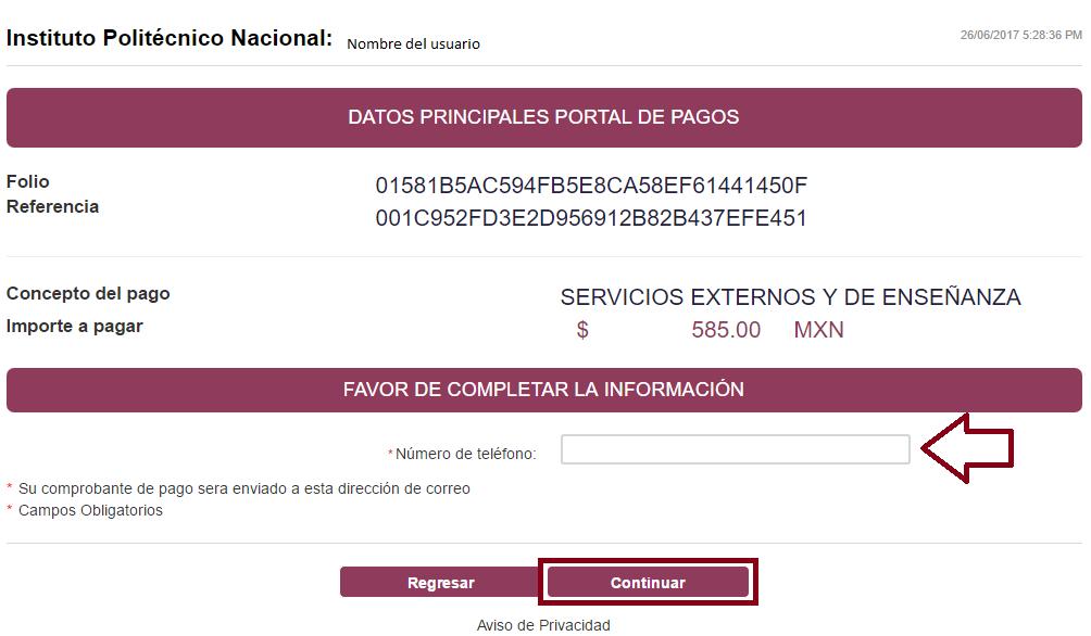 Al seleccionar la opción pagar (véase Figura 19) se mostrará un formato que contiene el nombre del usuario, los datos principales del portal de pagos, el concepto y el