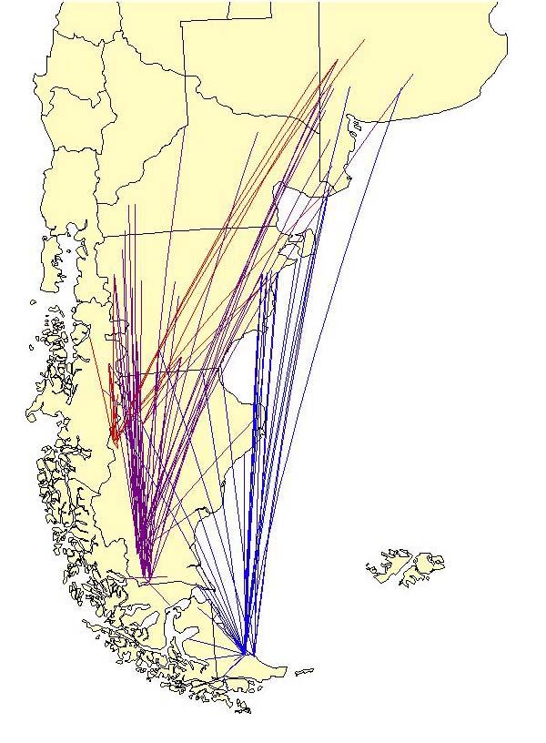 Migradoras patagónicas Especies que se reproducen en la Patagonia y a fines del verano migran hacia el norte, a veces alcanzado el centro de Argentina, Uruguay y sur
