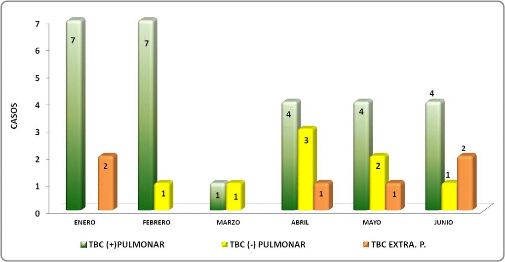 13 TUBERCULOSIS Durante el mes de Junio se registraron 08 casos; 05 casos TBC BK (+), 01 casos TBC BK (-), 02 casos Recaída,02 caso Extra pulmonar