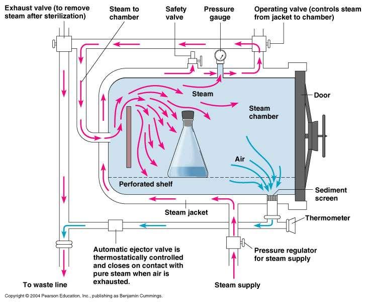 Agentes físicos de control microbiano: CALOR Húmedo Vapor de agua Es un método de esterilización por calentamiento y presión.