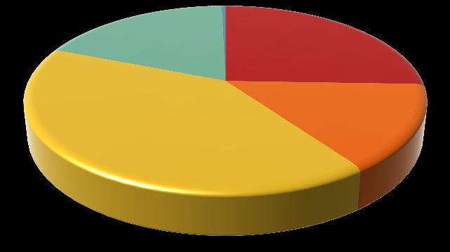 7% Población ocupada, según división de ocupación 28.5% 13.8% 0.3% 48.