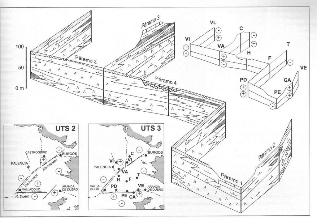 Expresión gráfica de las correlaciones 1) Corte geológico 2) Corte estratigráfico 3)