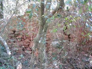 22- forestal Restes de parets de pedra i morter de calç.