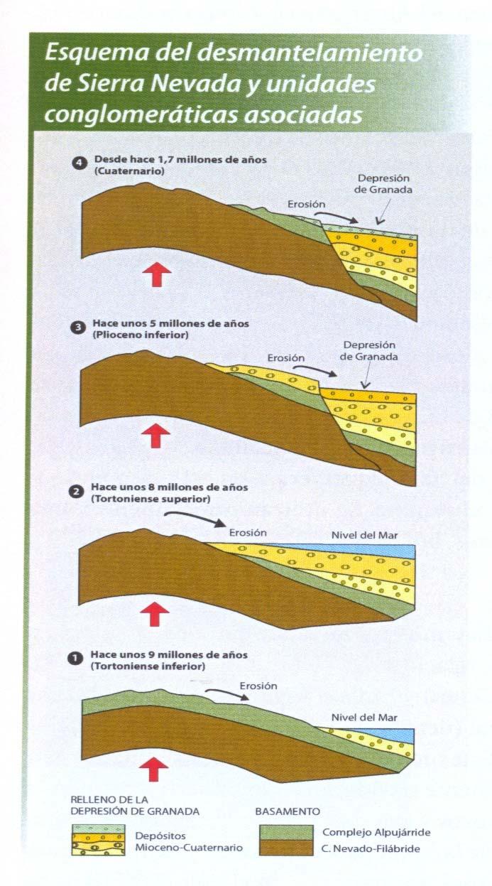 LA GÉNESIS DEL CONGLOMERADO ALHAMBRA : EL DESMANTELAMIENTO DE SIERRA NEVADA Asociada a los diferentes pulsos de levantamiento de Sierra Nevada hubo una erosión significativa del