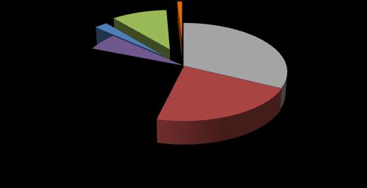 Mbep) ALyC (5 909 Mbep) Otras renovables 2% Gas natural 29% Petróleo y derivados 41%