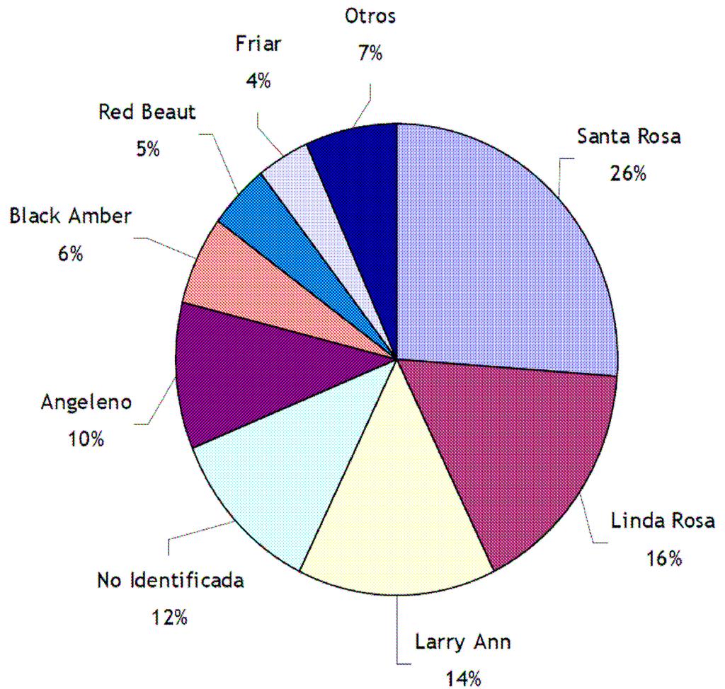 Grafico Nº 2:Distribución de superficie implantada con ciruelas para consumo en fresco por variedad en la provincia de Mendoza. Fuente: I.D.R. 2010.