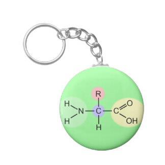HABILIDAD: Dibujos de diagramas moleculares Hay que saber realizar un diagrama molecular de: - los monosacáridos alfa-d-glucosa, beta-d-glucosa y D-ribosa. - un ácido graso saturado. - un aminoácido.