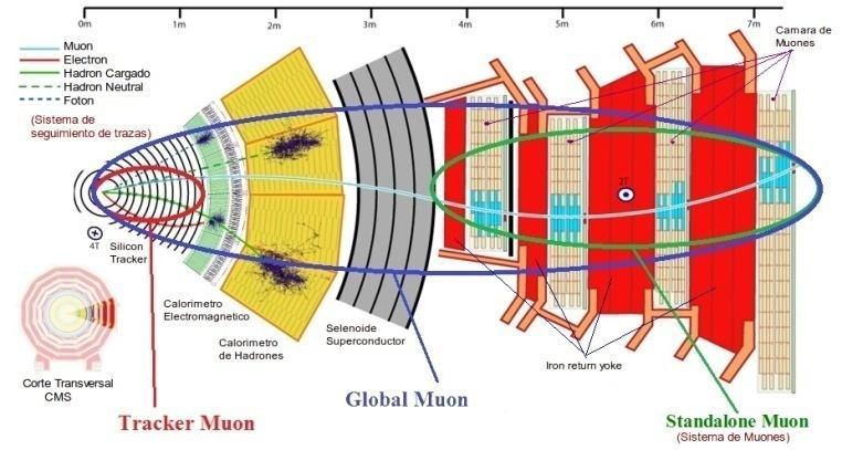 GLOBAL MUON Estos muones son aquellos que son asociados entre las pistas de los muones detectados en el tracker muon y las