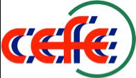Las Organizaciones CEFE INTERNACIONAL Competencia de Economía a través de la Formación Emprendedora. Organización líder a nivel mundial en promoción y facilitación del emprendimiento.