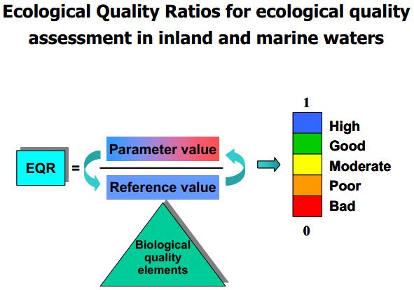 Métricos El estado ecológico para cada métrica de otros cuerpos aguas puede ser determinado como desviación respecto