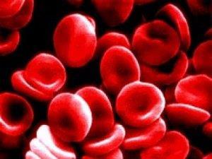 Los glóbulos rojos o también como eritrocitos o hematíes. Son el componente más abundante de la sangre, y actúan transportando el oxígeno.