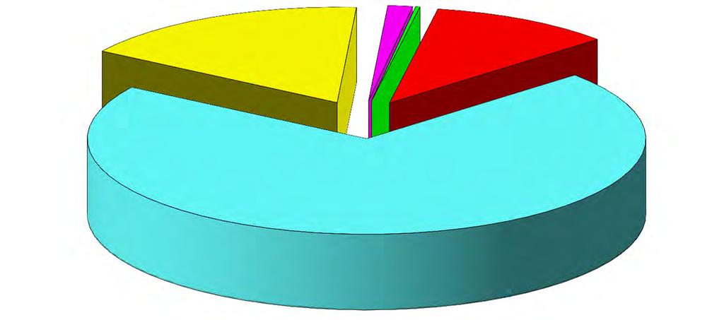Gráfico 6 DISTRIBUCIÓN PORCENTUAL DEL GASTO DE PENSIONES- AÑO 2018 Orfandad; 1,43%