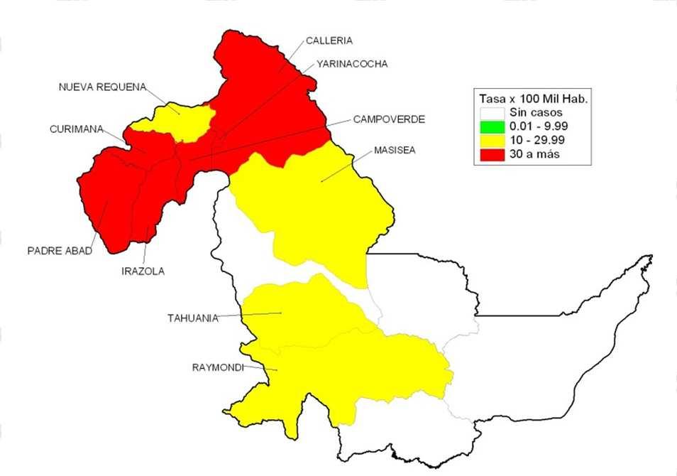 DENGUE: Departamento Ucayali 2013* Curva de casos de Dengue en Ucayali 2010 2013* Mapa de incidencia Ucayali 2013* 121 1770 11056 1241* Determinantes de riesgo de dengue en Ucayali Determinantes