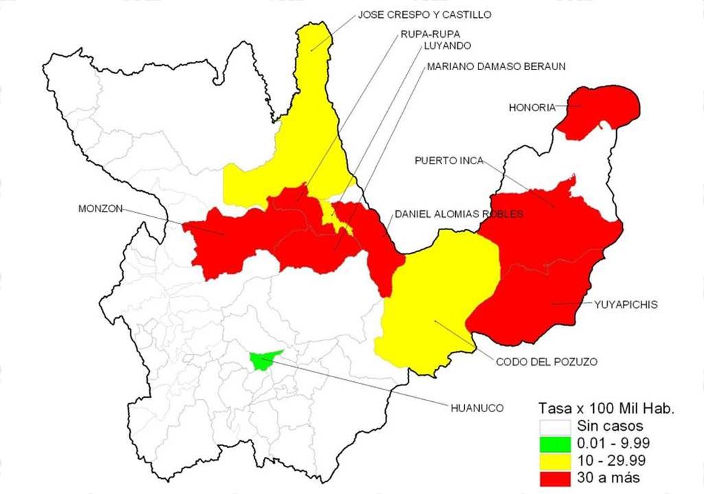 DENGUE: Departamento Huánuco 2013* Curva de casos de Dengue.
