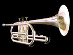 III Curso Construcción Trompeta Natural Construcción de tu propia trompeta natural, con