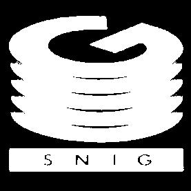 Reguladora del SNIG creada el año anterior.