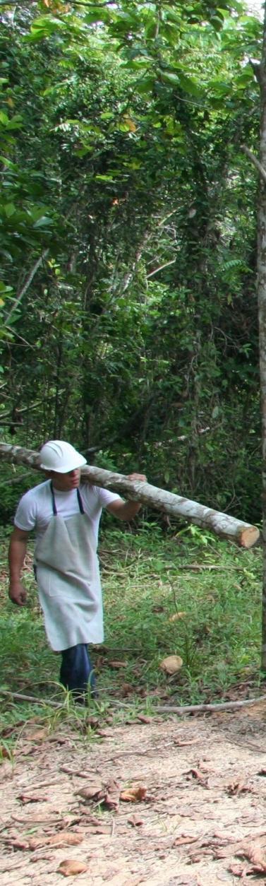 INTRODUCCIÓN En Colombia, las corporaciones autónomas regionales son las máximas autoridades ambientales, les corresponde el manejo de los bosques naturales en sus jurisdicciones, de acuerdo con la