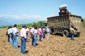 Alianzas, convenios y recursos de financiación La agroindustria de la caña de azúcar del valle del río Cauca constituye un actor socioeconómico que es foco de atención de distintos sectores del país