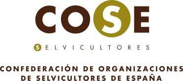 bioeconomía forestal Francisco Dans del Valle