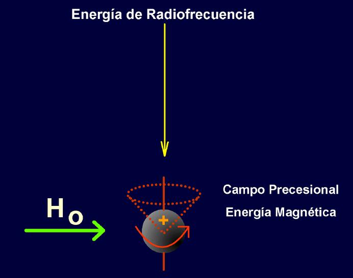 Cuando dichos núcleos se encuentran sometidos a la acción de un campo magnético inducido, la orientación del spin es paralela a dicho