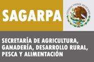 2 Secretaría de Desarrollo Rural oletín de la OEIDRUS Avances Estadísticos del Sector Rural de Tamaulipas Porcicultura El puerco es una de las especies que está vinculada con la humanidad desde hace