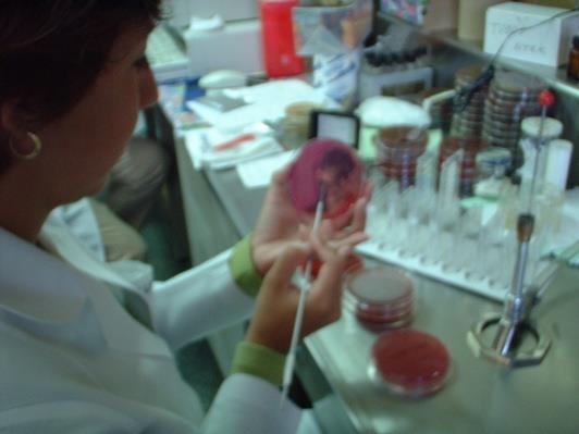 El personal es el factor más importante en la calidad del trabajo en el laboratorio de microbiología.