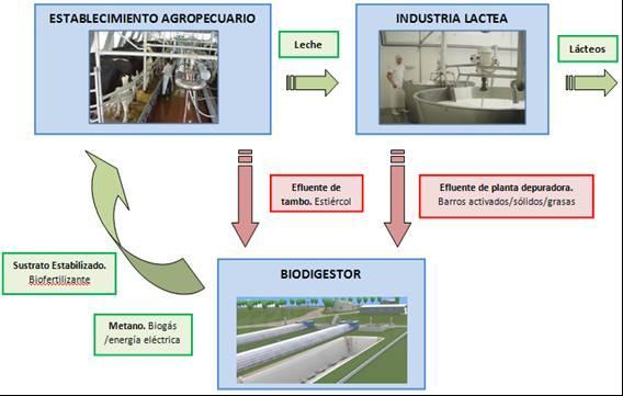 Proyecto: Valoración de Biosólidos de Tambo y Agroindustria RESIDUOS PROCEDENTES DE LA PLANTA DE TRATAMIENTO DE IND.