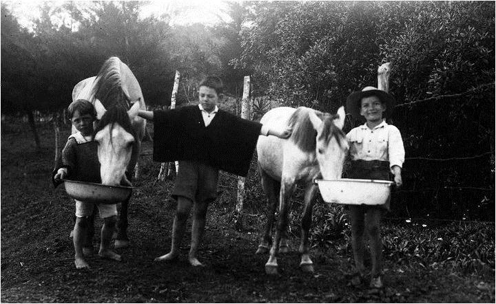 Niños con caballos en 1915