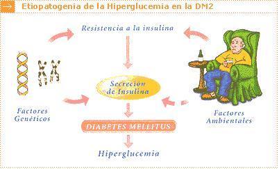 .La diabetes tipo 2 está causada por una interrelación complicada de genes, medio ambiente, anomalías en la insulina (secreción reducida en las células beta y resistencia a la