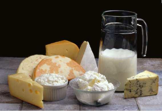 Slide 8 / 63 Enzimas comunes La lactasa es una enzima que ayuda a digerir los productos lácteos.