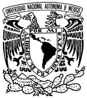 UNIVERSIDAD NACIONAL AUTÓNOMA DE MÉXICO CENTRO PENINSULAR EN HUMANIDADES Y CIENCIAS SOCIALES FACULTAD DE FILOSOFÍA Y LETRAS LICENCIATURA EN DESARROLLO Y GESTIÓN INTERCULTURAL ASIGNATURA: