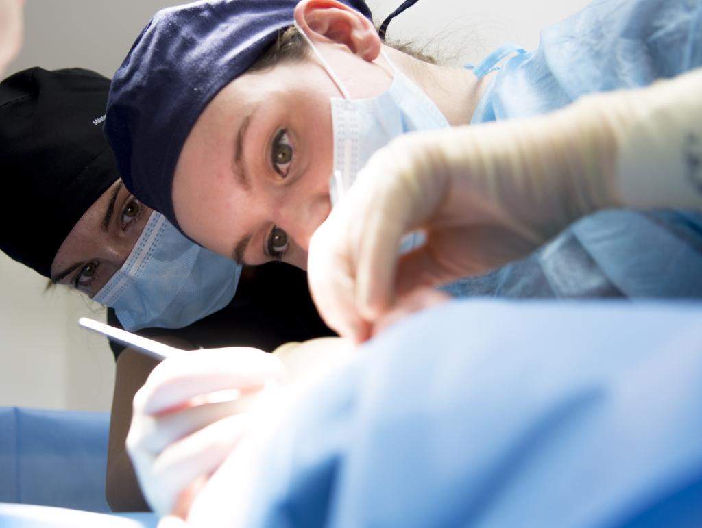 5 Oferta formativa 2018-2019 Formación para odontólogos: Máster en Implantología Oral. Máster en Cirugía Oral e Iniciación a la Implantología Máster en Rehabilitación Oral.