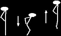 , 1992): a) Squat Jump (SJ): Se utiliza para valorar la manifestación explosiva de la fuerza.
