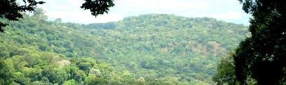 alta y susceptibilidad a deslizamientos alta a muy alta Bosque primario Lavas Lineamiento: proteger servicios ambientales de biodiversidad en ecosistemas naturales y agro ecosistemas permanentes y de