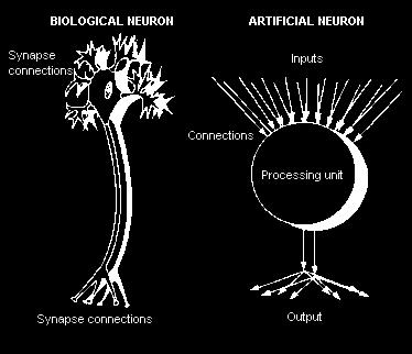 Neurona Natural vs sus Neurona=Unidad de Procesamiento. Conexiones Sinápticas=Conexiones o Pesos. Efectividad Sináptica=Peso Sináptico.