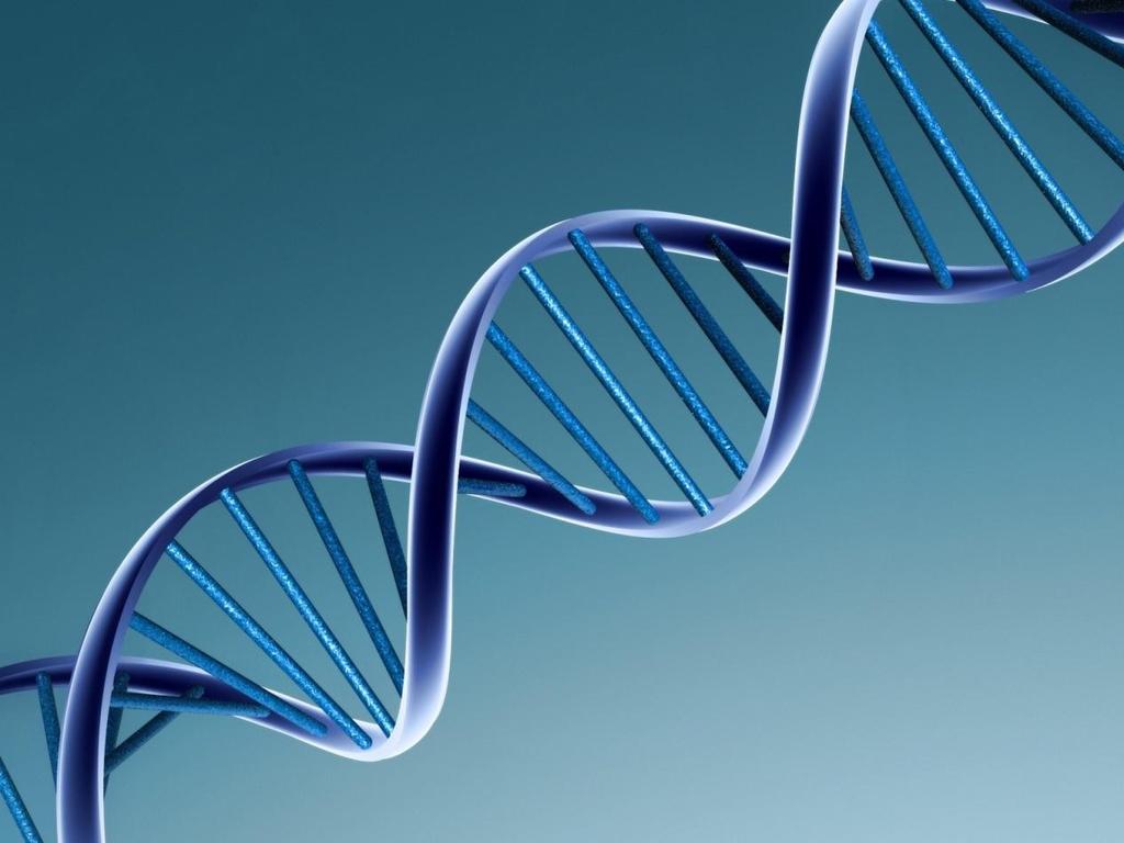Genómica- Información del ADN Existe información codificada en el ADN