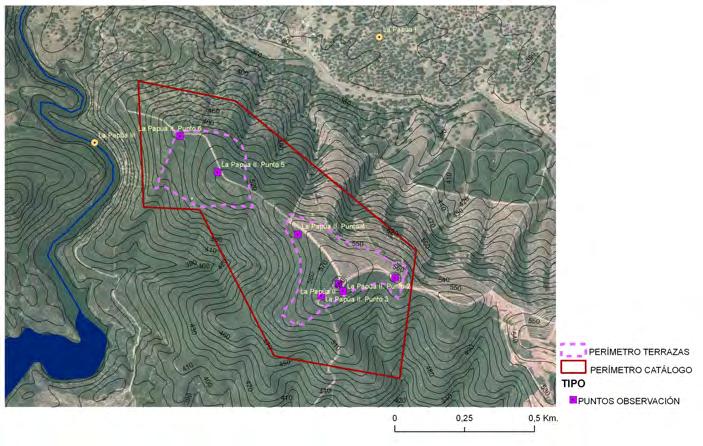 Finalmente, la tercera variable que hemos analizado para explorar el rango y jerarquización territorial entre los asentamientos de la Edad del Bronce en el valle del río Rivera de Hueva es el
