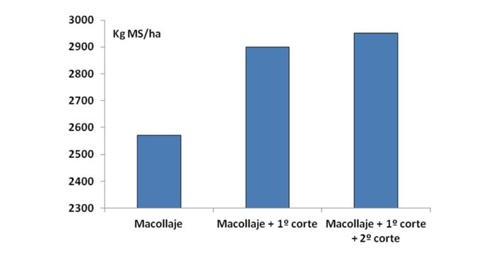 Figura 7. Producción de raigrás anual (Lolium multiflorum) con distintas estrategias de dosificación de la urea en Mercedes corrientes (Altuve, 2004a).
