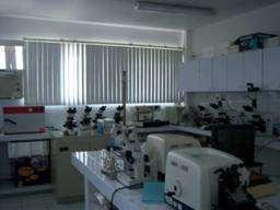 histotecnología con microscopios